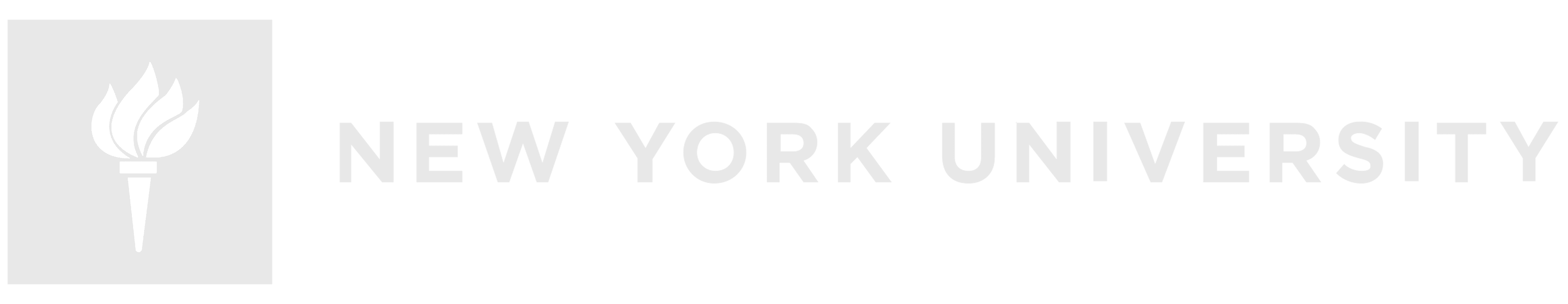 New York University